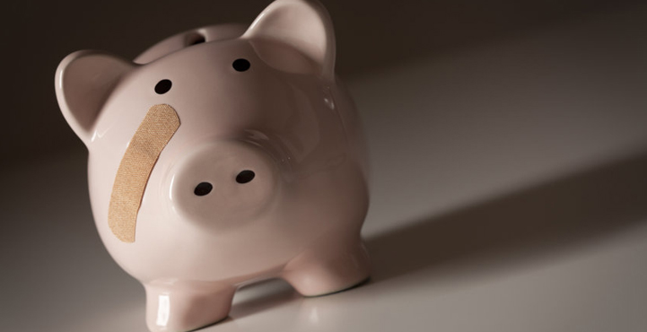 Pig coin holder